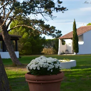 Hotel Mas Mls, Saintes-Maries-de-La-Mer